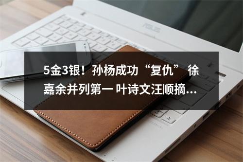 5金3银！孙杨成功“复仇” 徐嘉余并列第一 叶诗文汪顺摘银