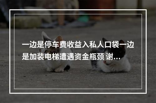 一边是停车费收益入私人口袋一边是加装电梯遭遇资金瓶颈 谢池商城停车位该怎样管理？