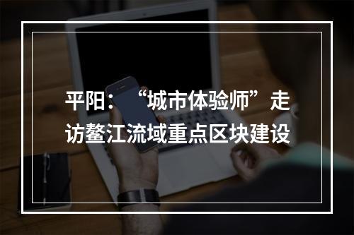 平阳：“城市体验师”走访鳌江流域重点区块建设