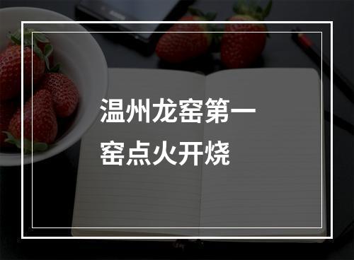 温州龙窑第一窑点火开烧