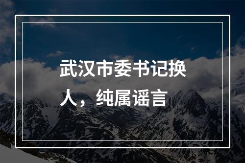 武汉市委书记换人，纯属谣言