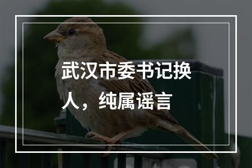 武汉市委书记换人，纯属谣言