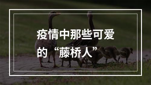 疫情中那些可爱的“藤桥人”
