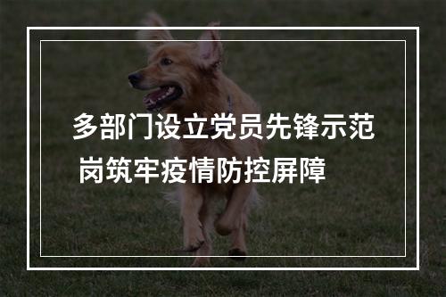 多部门设立党员先锋示范 岗筑牢疫情防控屏障