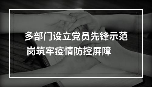 多部门设立党员先锋示范 岗筑牢疫情防控屏障