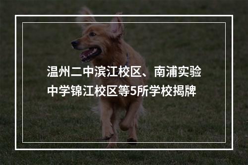 温州二中滨江校区、南浦实验中学锦江校区等5所学校揭牌