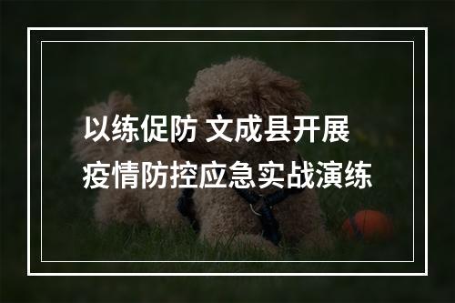 以练促防 文成县开展疫情防控应急实战演练