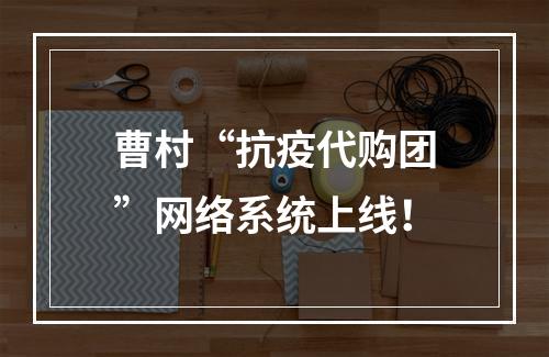 曹村“抗疫代购团”网络系统上线！