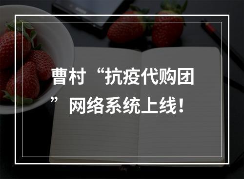 曹村“抗疫代购团”网络系统上线！