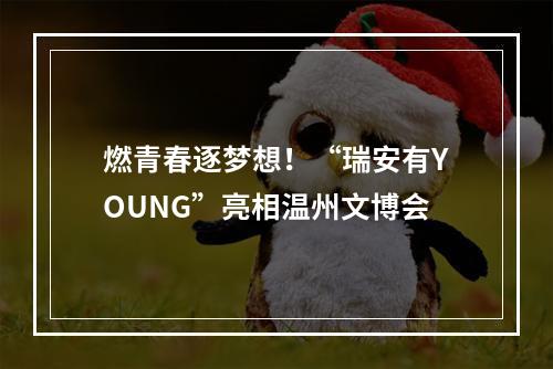 燃青春逐梦想！“瑞安有YOUNG”亮相温州文博会