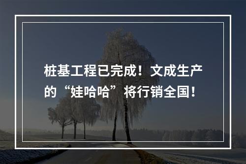 桩基工程已完成！文成生产的“娃哈哈”将行销全国！