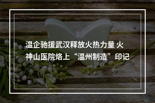温企驰援武汉释放火热力量 火神山医院烙上“温州制造”印记