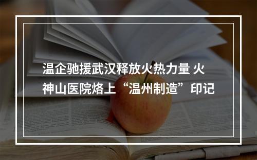 温企驰援武汉释放火热力量 火神山医院烙上“温州制造”印记