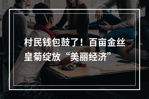 村民钱包鼓了！百亩金丝皇菊绽放“美丽经济”