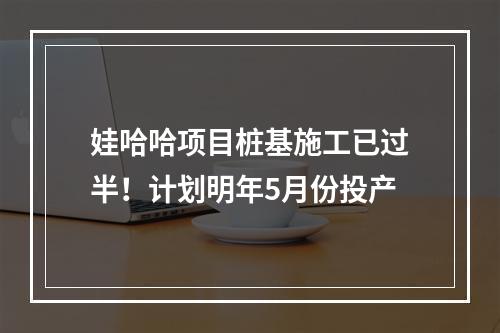 娃哈哈项目桩基施工已过半！计划明年5月份投产