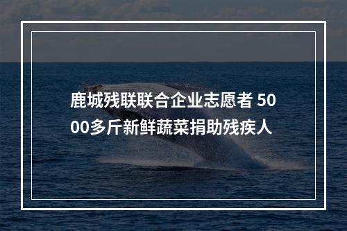 鹿城残联联合企业志愿者 5000多斤新鲜蔬菜捐助残疾人
