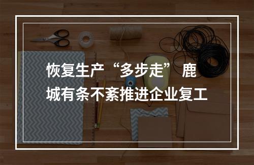 恢复生产“多步走” 鹿城有条不紊推进企业复工