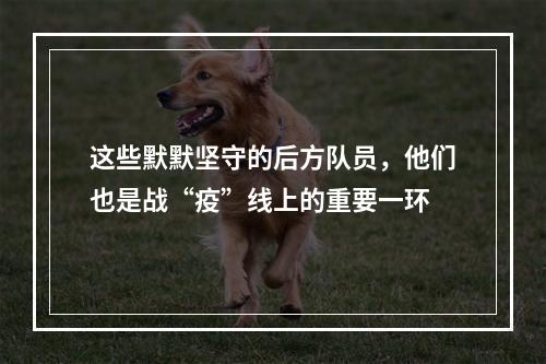 这些默默坚守的后方队员，他们也是战“疫”线上的重要一环