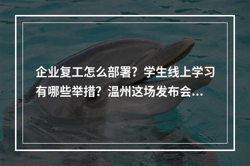 企业复工怎么部署？学生线上学习有哪些举措？温州这场发布会给出答案