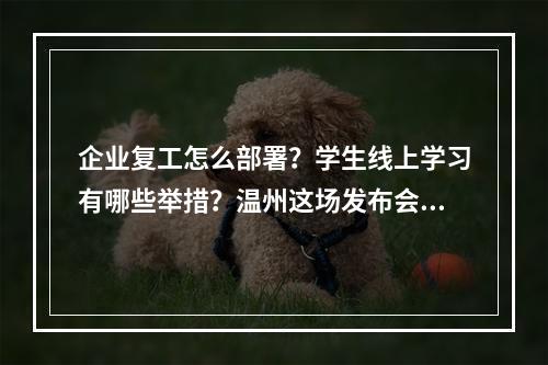 企业复工怎么部署？学生线上学习有哪些举措？温州这场发布会给出答案
