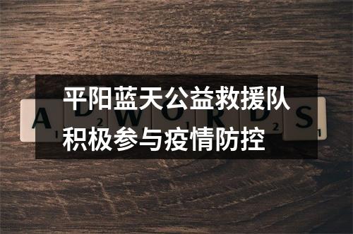 平阳蓝天公益救援队积极参与疫情防控