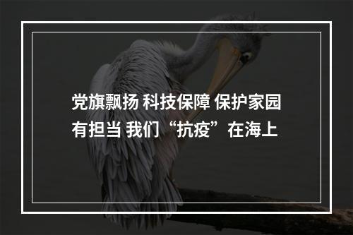 党旗飘扬 科技保障 保护家园有担当 我们“抗疫”在海上