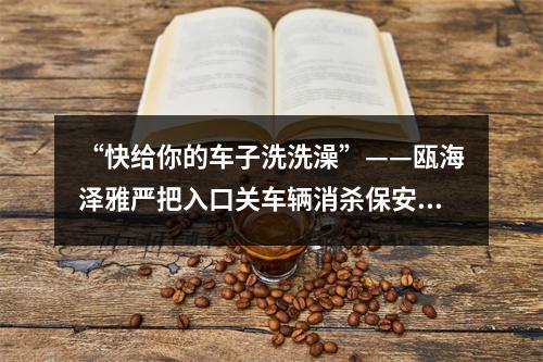 “快给你的车子洗洗澡”——瓯海泽雅严把入口关车辆消杀保安全