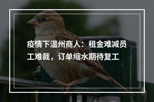 疫情下温州商人：租金难减员工难裁，订单缩水期待复工
