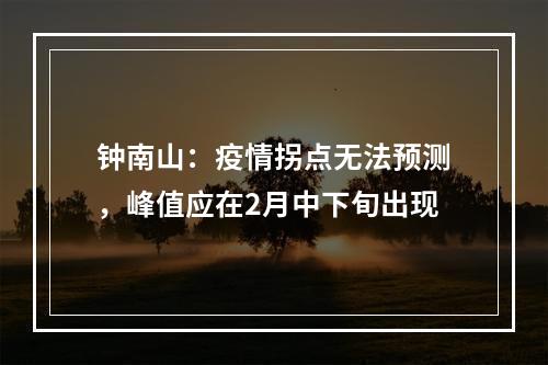 钟南山：疫情拐点无法预测，峰值应在2月中下旬出现