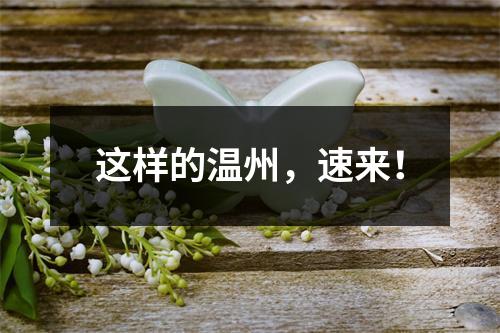 这样的温州，速来！