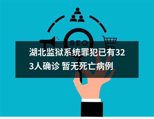 湖北监狱系统罪犯已有323人确诊 暂无死亡病例