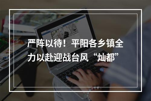 严阵以待！平阳各乡镇全力以赴迎战台风“灿都”