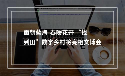 面朝蓝海  春暖花开 “找到田”数字乡村将亮相文博会