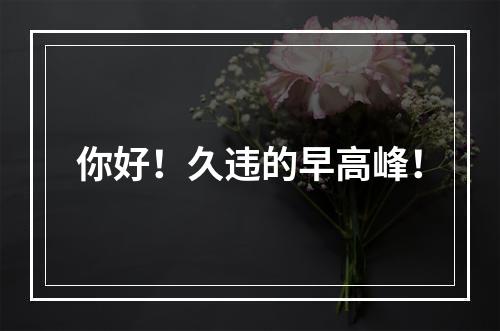 你好！久违的早高峰！