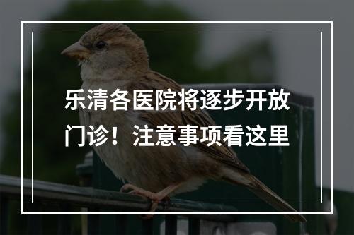 乐清各医院将逐步开放门诊！注意事项看这里