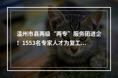 温州市县两级“两专”服务团进企！1553名专家人才为复工复产上门服务