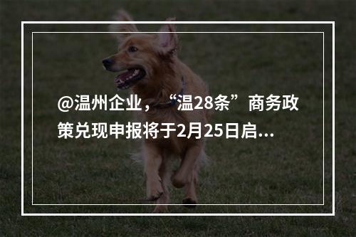 @温州企业，“温28条”商务政策兑现申报将于2月25日启动