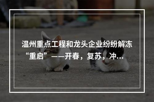 温州重点工程和龙头企业纷纷解冻“重启”——开春，复苏，冲刺！