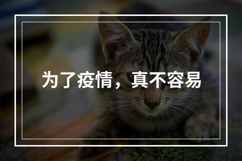 为了疫情，真不容易