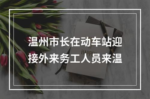 温州市长在动车站迎接外来务工人员来温