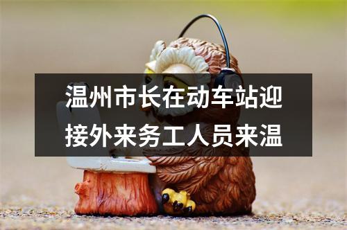温州市长在动车站迎接外来务工人员来温