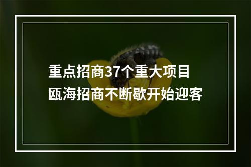 重点招商37个重大项目 瓯海招商不断歇开始迎客