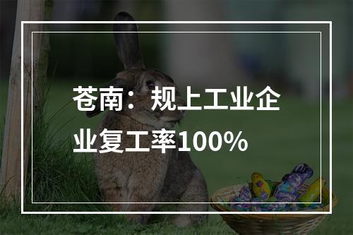 苍南：规上工业企业复工率100%