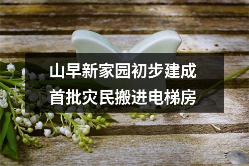 山早新家园初步建成 首批灾民搬进电梯房