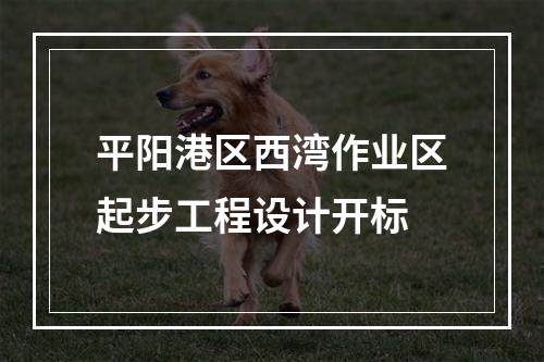 平阳港区西湾作业区起步工程设计开标