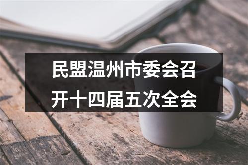 民盟温州市委会召开十四届五次全会