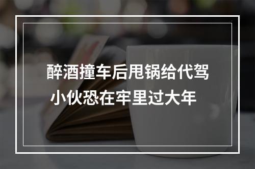 醉酒撞车后甩锅给代驾 小伙恐在牢里过大年