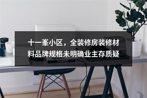 十一峯小区，全装修房装修材料品牌规格未明确业主存质疑