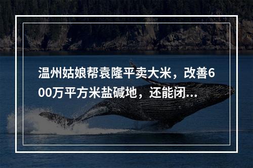 温州姑娘帮袁隆平卖大米，改善600万平方米盐碱地，还能闭眼鉴大米