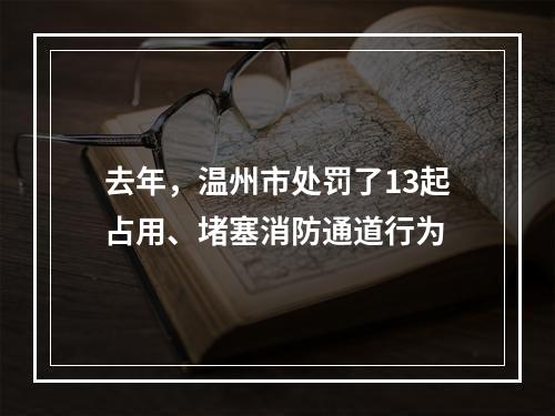 去年，温州市处罚了13起占用、堵塞消防通道行为